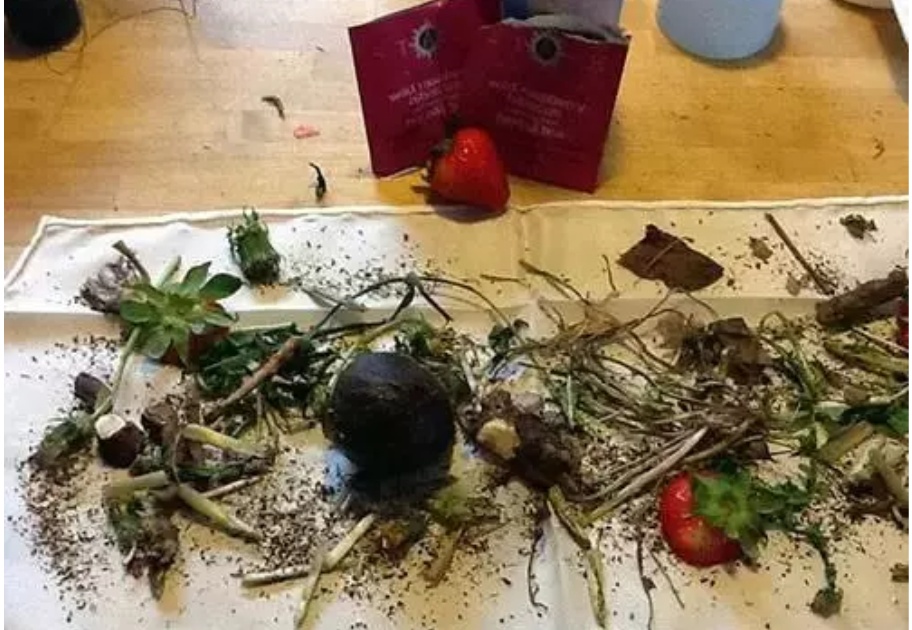 古法植物手工染布,非物质文化遗产手工花