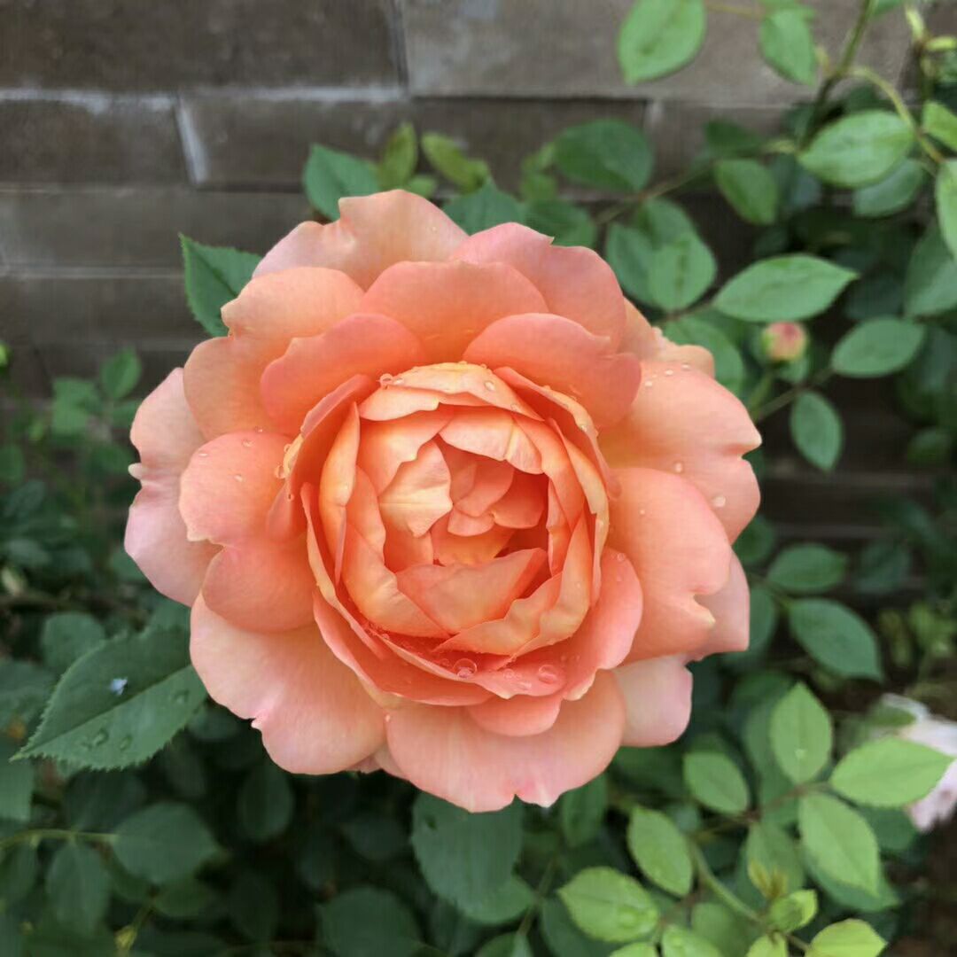 汉新闻:“五一”放假通知已下发,“花开不败”摄影大赛在线等