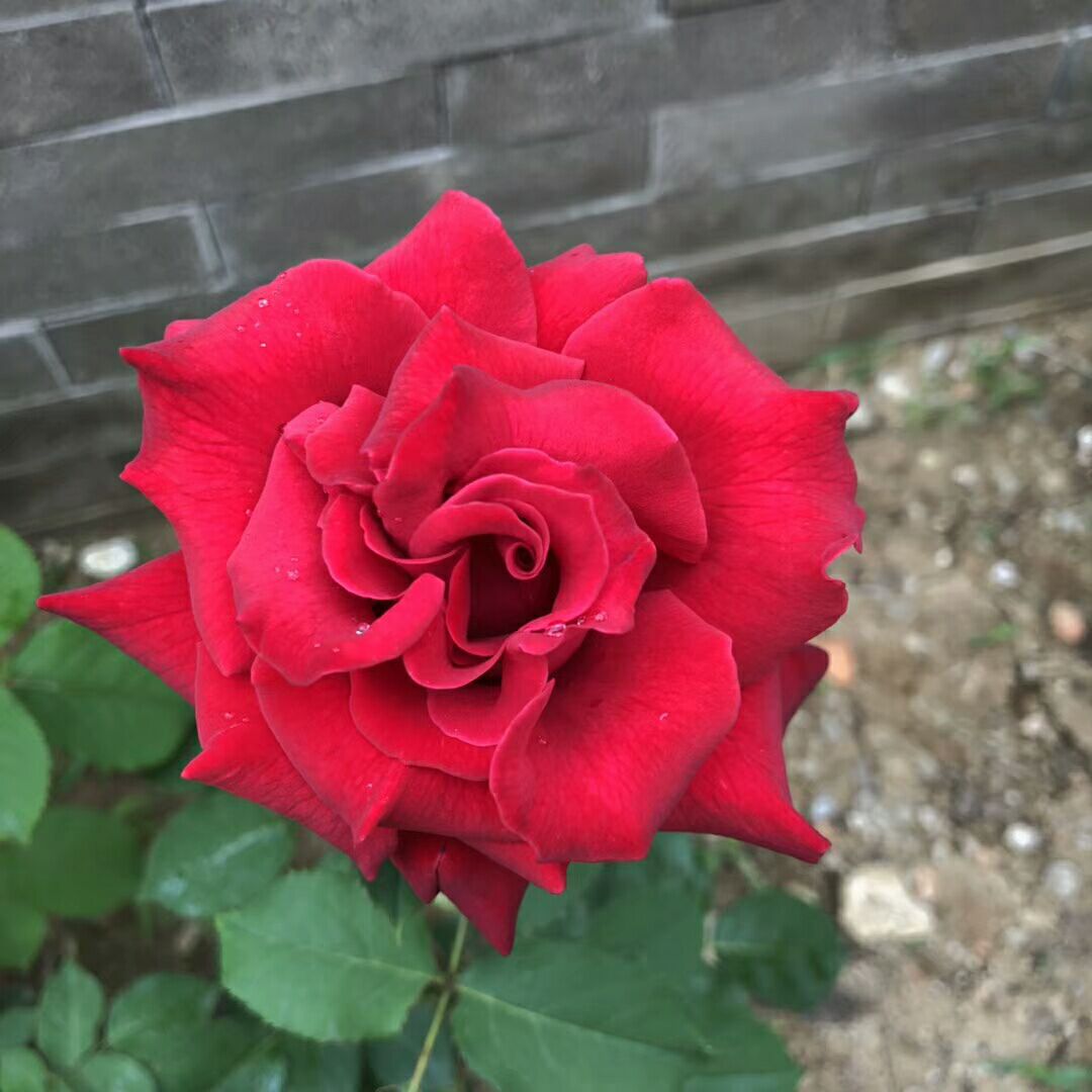 汉新闻:“五一”放假通知已下发,“花开不败”摄影大赛在线等