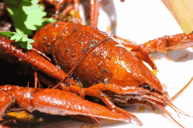 我的胃，是专门为南京这几家小龙虾长的