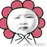 如何让金毛成为拉布拉多,金毛变装霸气视频