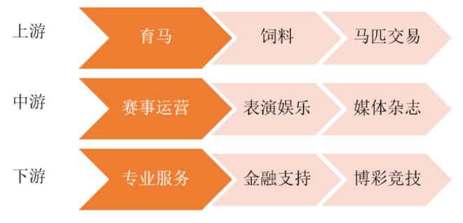 2025海南赛马国家战略计划,海南赛马体彩最新消息