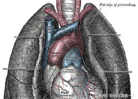 尘肺病：水泥、陶瓷、五金、石材，这些岗位要注意，病了治不好！