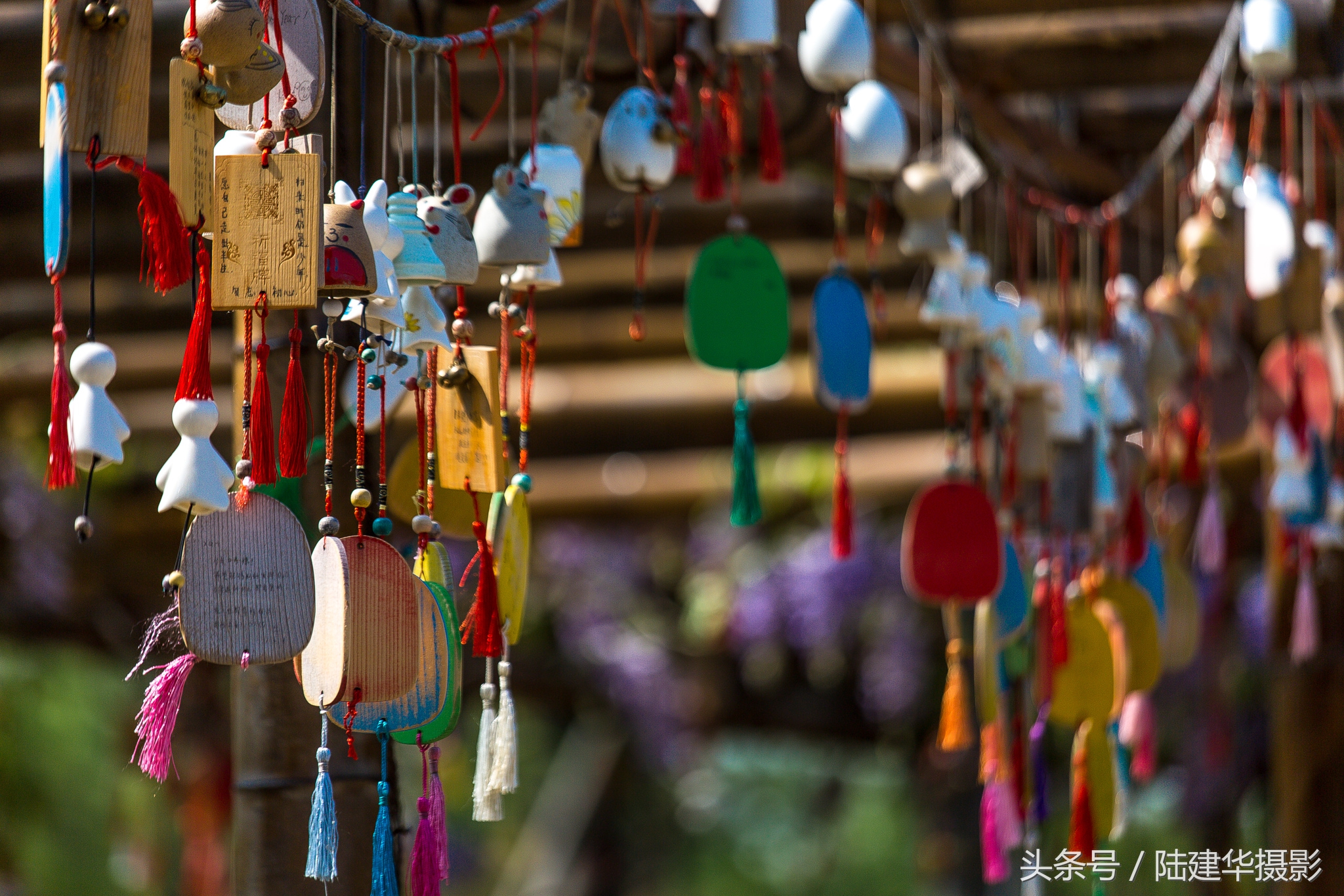 制定游玩东方盐湖城游玩计划,东方盐湖城游玩感受