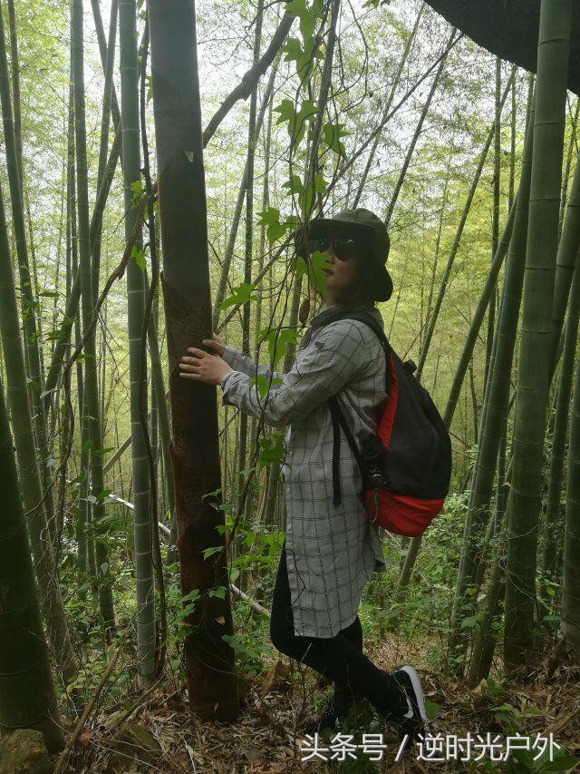 三叠井国家森林公园之旅