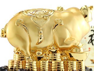 十二生肖运势2019年属猪人运势,属猪本命年流年运势怎么样