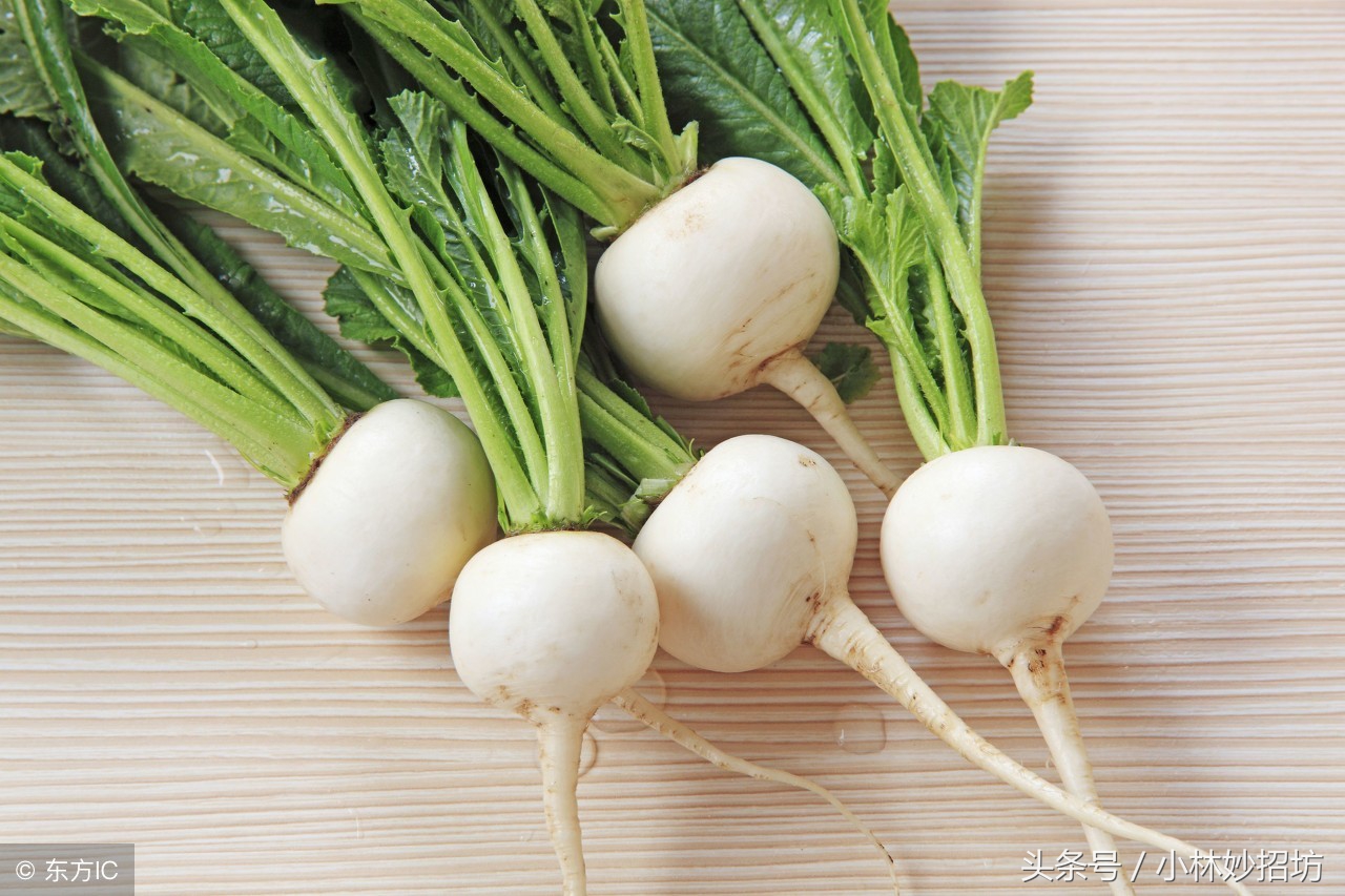 莱菔汁治疗偏头痛有奇效，才几毛钱一斤