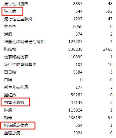 养狗感染钩端螺旋体病,除了狂犬病还有哪些致死性疾病