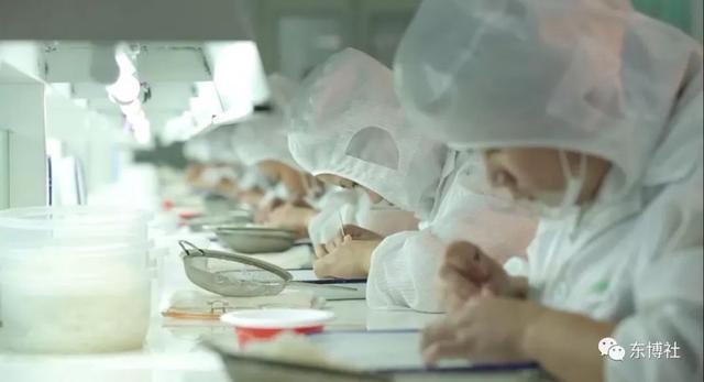 毛燕出口成功率,第一批马来西亚毛燕进口