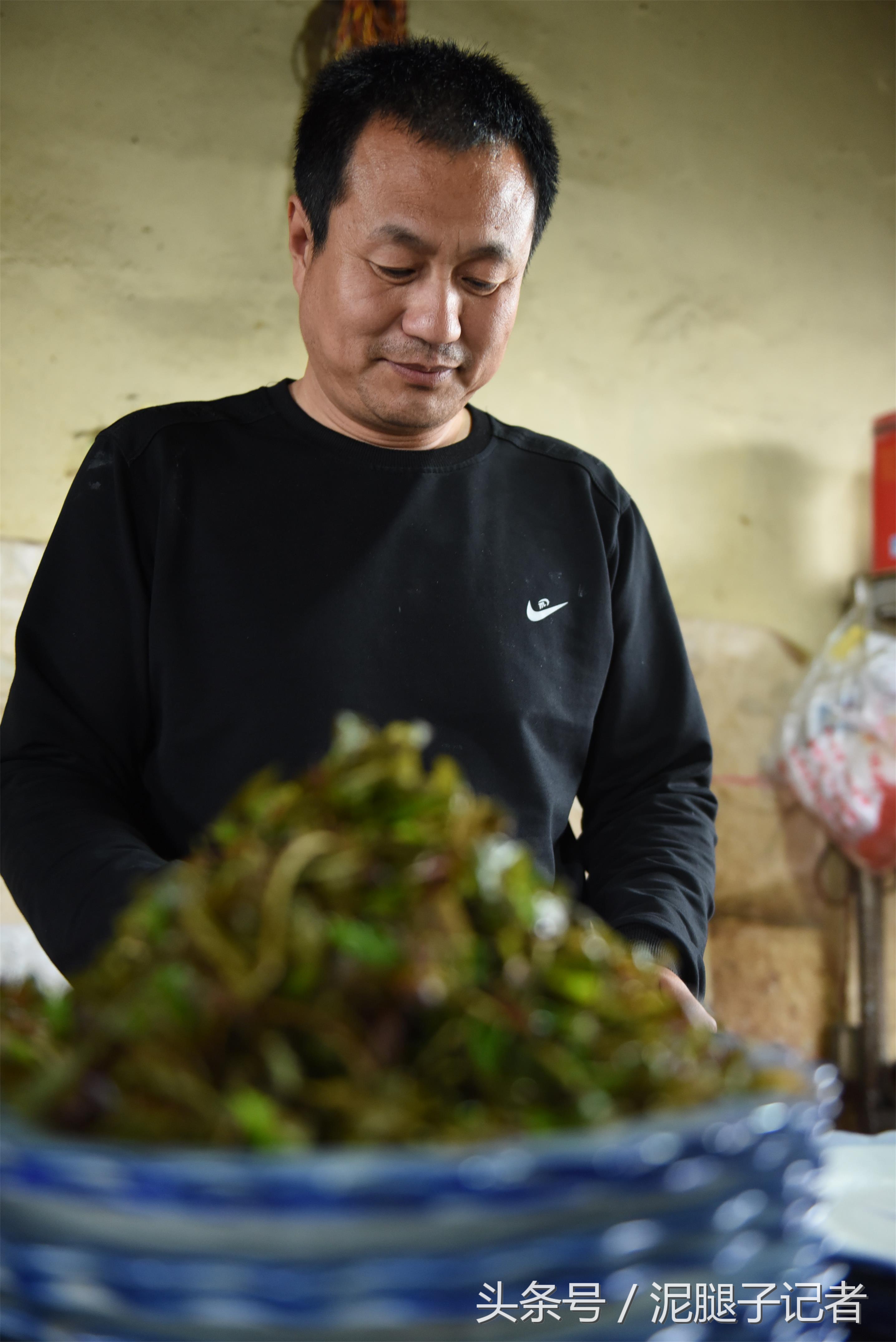 这位农村大哥真能整，用香椿做了一桌子菜，不重样