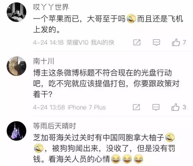 随手把苹果带下飞机，竟被罚了500美元？出国之前，违禁物品清单得多看两遍！