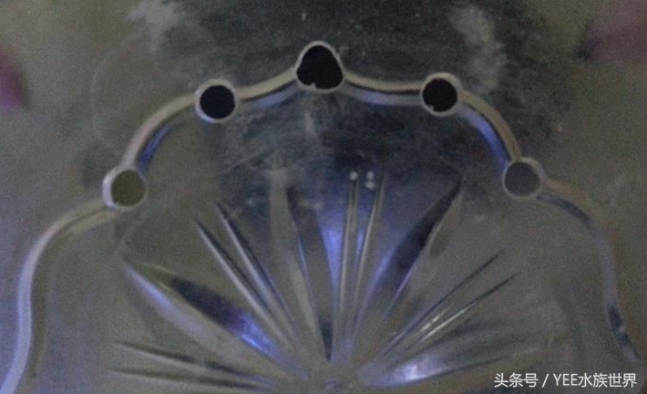 小水泵自制鱼缸过滤系统,小水泵创意作品