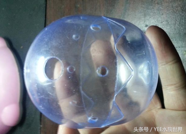 小水泵自制鱼缸过滤系统,小水泵创意作品