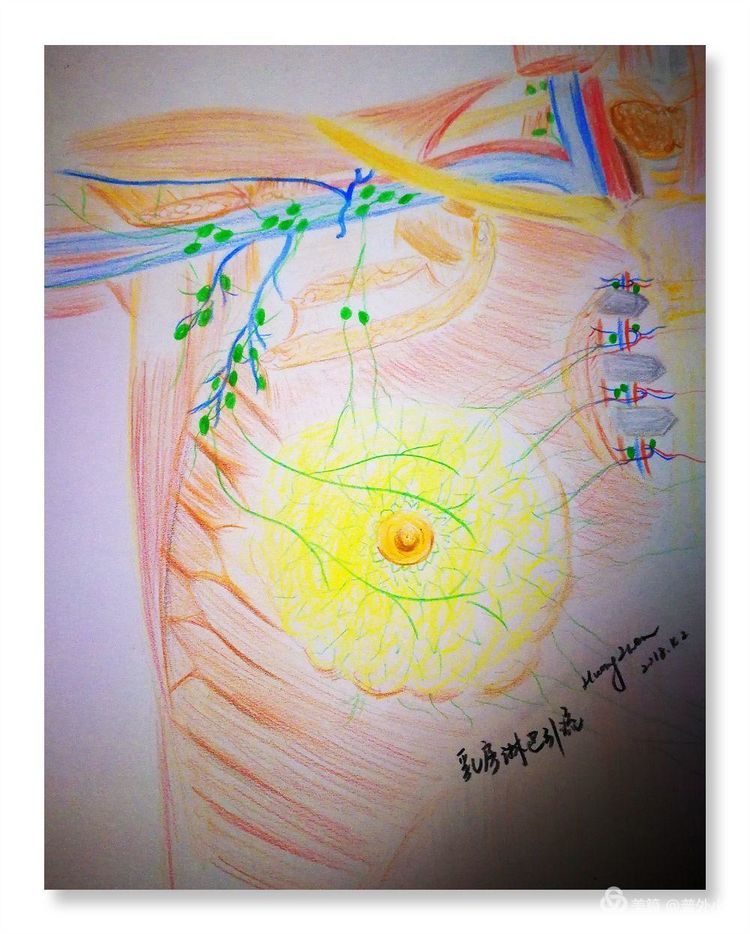母爱无边致敬伟大的母亲,母爱无边
