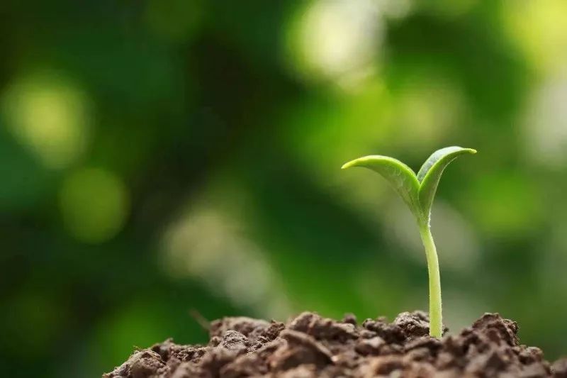 6年流产5次……反复流产元凶何在?