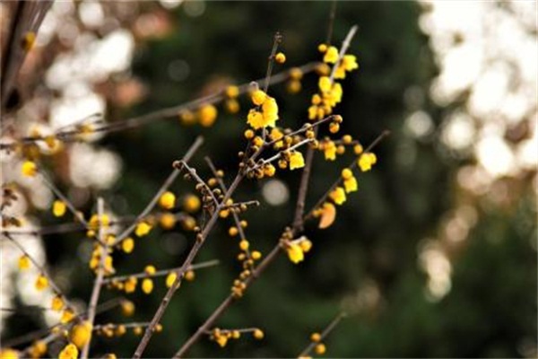 家人吸毒该如何劝告,发现自己家人吸毒怎么办