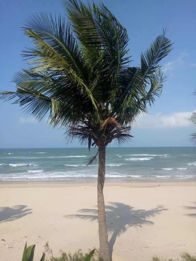 越南岘港的全身护理,越南岘港自由行旅游攻略