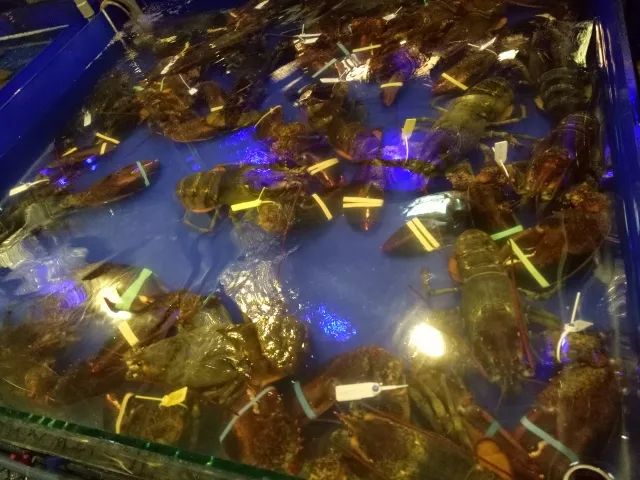 越南旅行之岘港攻略,越南岘港巴拿山风景