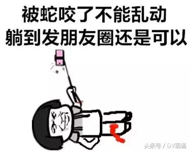 广州毒蛇被咬,广东小区毒蛇咬伤事件