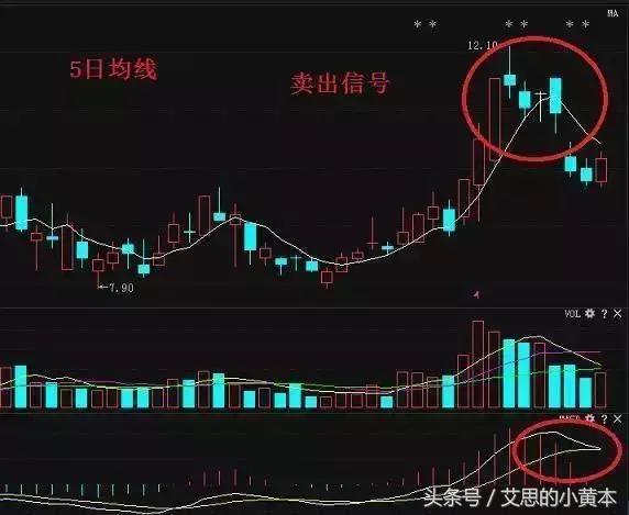 老股民肺腑之言,老股民的感言