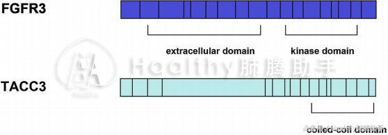 egfrtki一代和三代区别,三代egfrtki对比数据