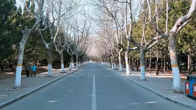 陪你走过沿途的风景,陪你走过每段路