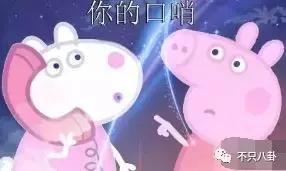 生活圈被它攻占，明星主动“蹭”它热度，现在的流量担当是这只猪