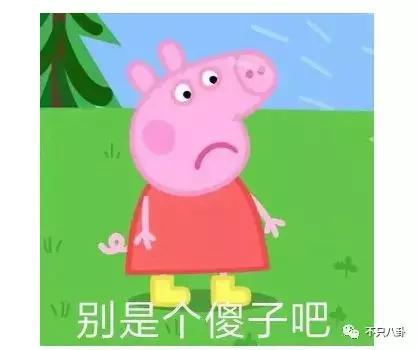 生活圈被它攻占，明星主动“蹭”它热度，现在的流量担当是这只猪