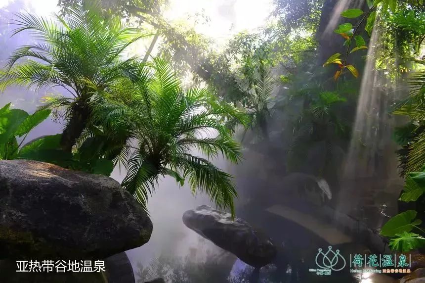 五一优惠等你来,五一钜惠疯狂来袭