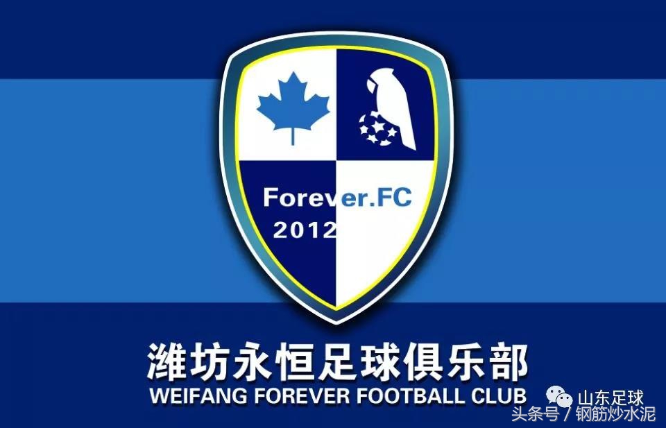 潍坊滨海2019足球联赛,潍坊市将举办青少年足球联赛