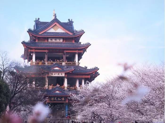 东南dx3自驾游,江浙寻花事