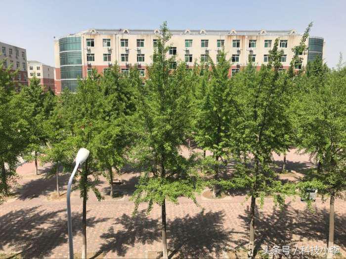 华为p20用起来反应慢怎么办,华为p20系统10.0.0.188版本怎么样