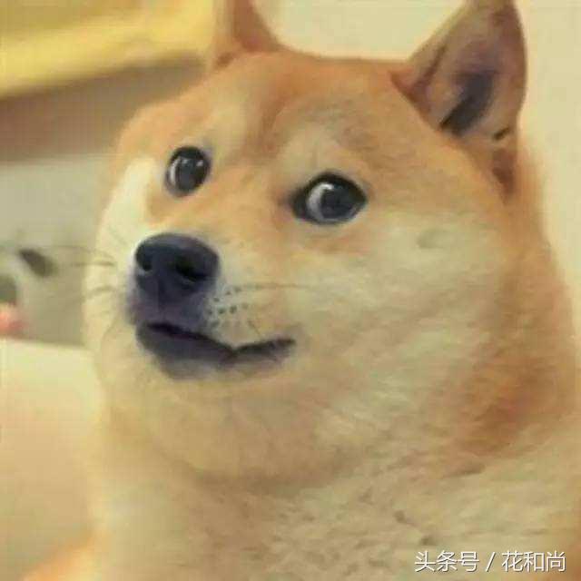 淘宝优化标题引流爆款,淘宝新手如何合理引流优化标题