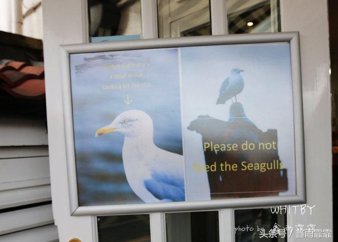 在鱼和土豆的世界里，它被称为世界上最好吃的，你怎么看