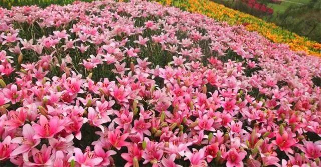 五一小长假尽情撒欢,2021五一川内游推荐