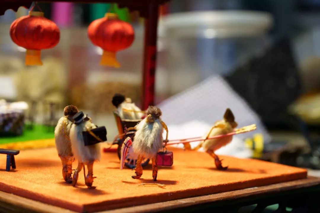 他拜师曹雪芹后人，将虫壳、玉兰变成立体漫画！