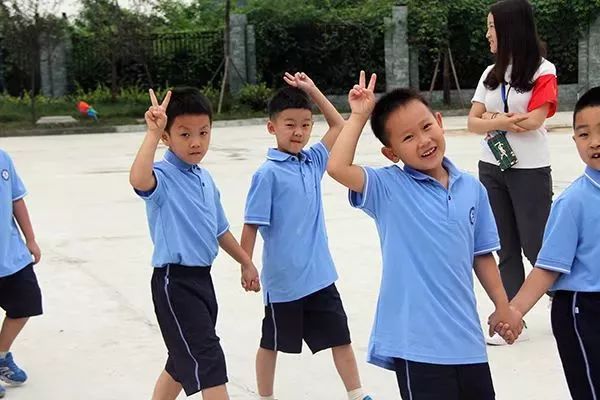 成华区2019年公立幼儿园,成华区教育学校