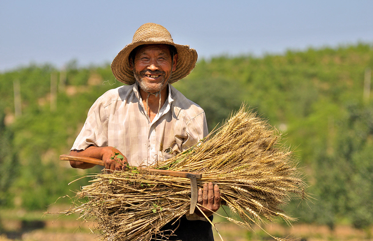 区块链亮剑食品安全,食品安全领域区块链问题