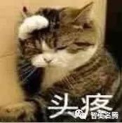 让外国人抓狂的汉语句子,留学生口语尴尬瞬间