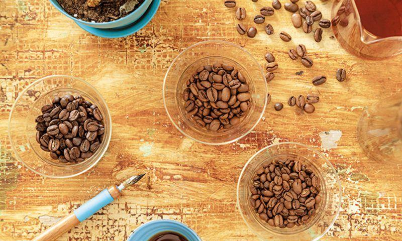 经典香水怎么选最好用女士,经典大牌香水哪款好用