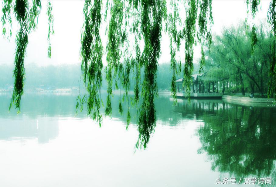 唯美春天里的杨柳诗词,杨柳的诗句古诗大全