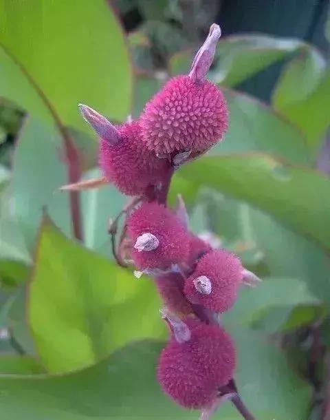 五一聚会的图片可保存,五一微信群图片