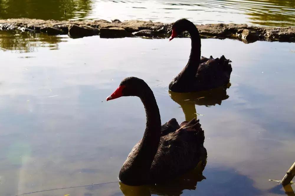 花车花田，美景美食，五一不用远走，丰台这些地方承包你的假期时光！