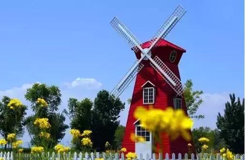 花车花田，美景美食，五一不用远走，丰台这些地方承包你的假期时光！