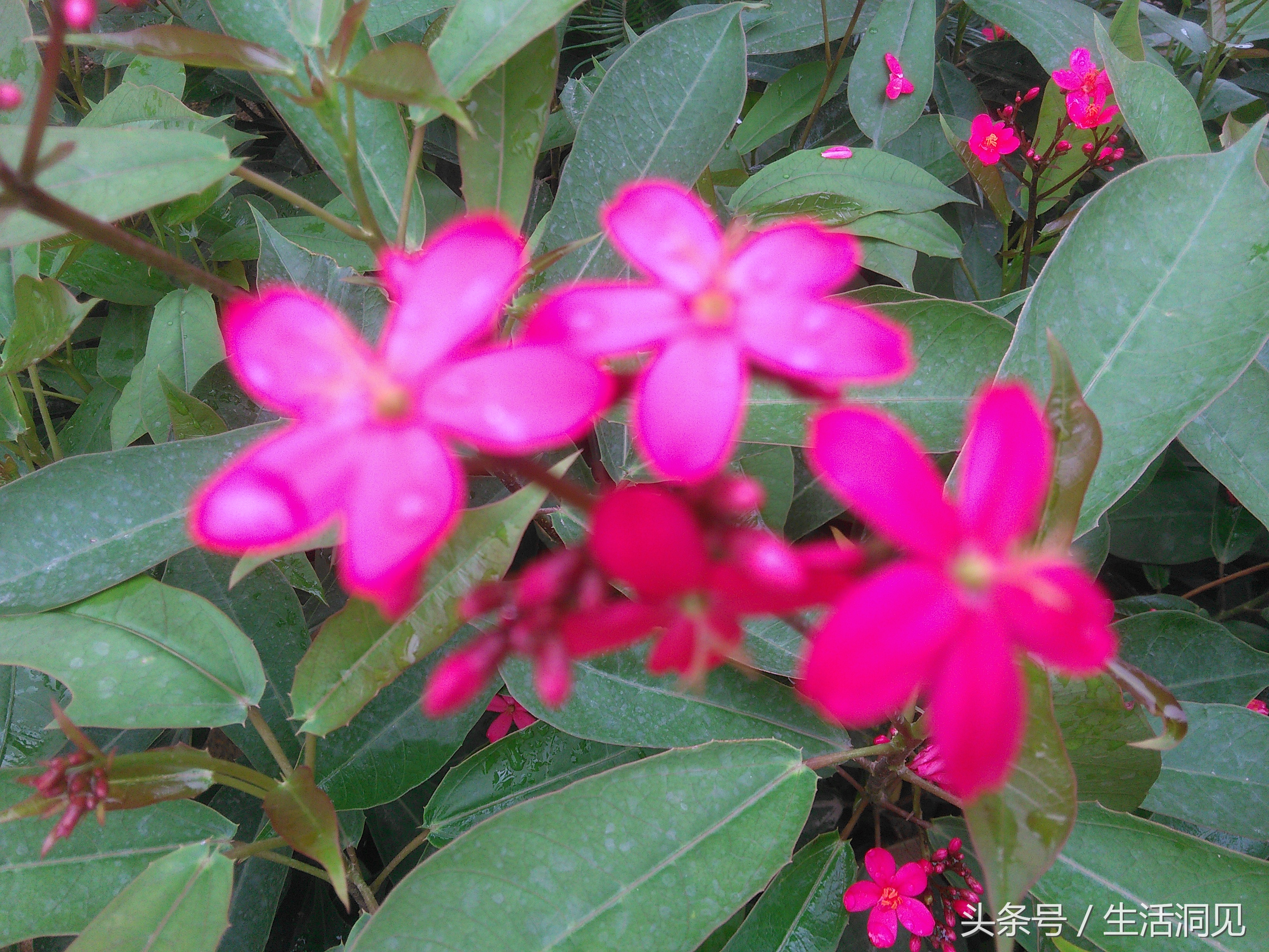 当对生活焦虑压抑了怎么办,当生活感到压抑