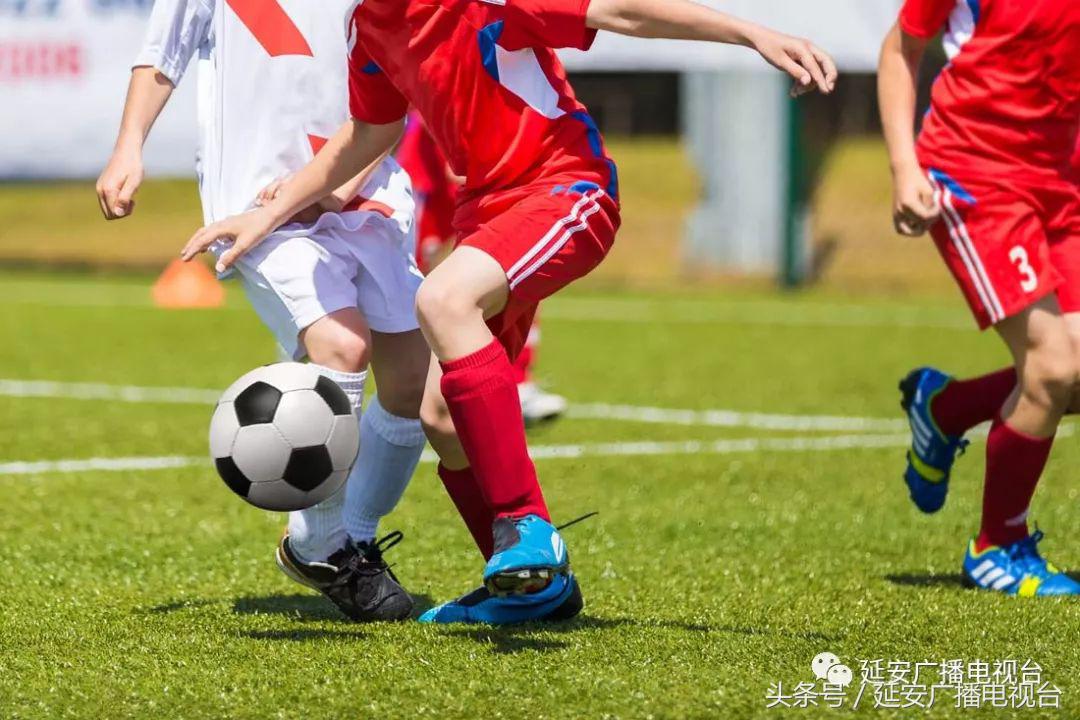 幸福是奋斗出来的劳动教育课程,幸福是奋斗出来的家庭教育