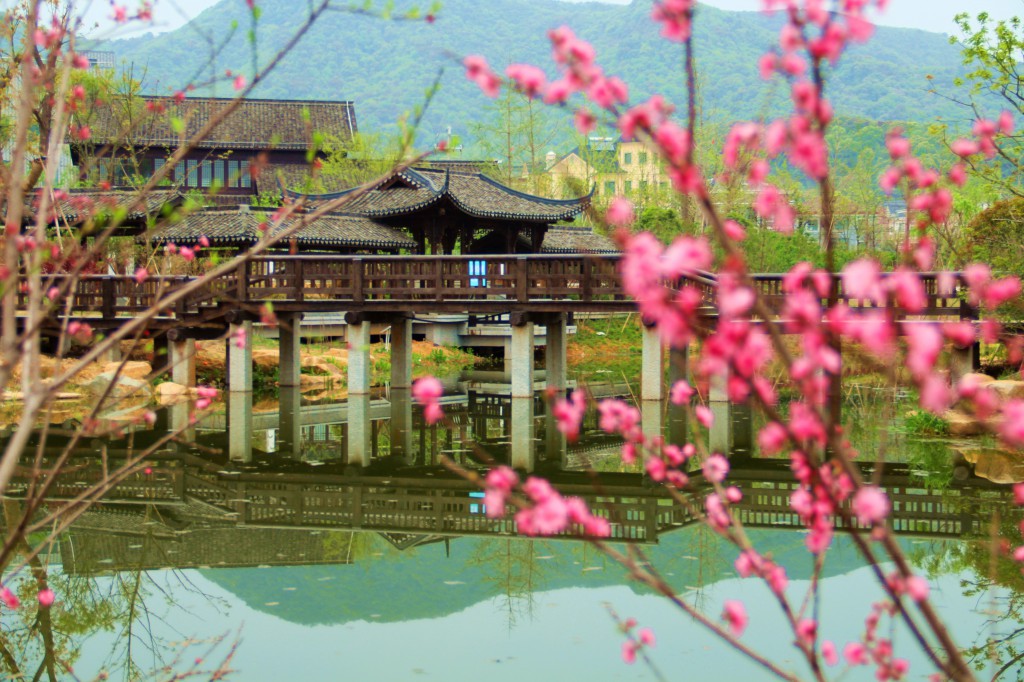 浙江有礼美丽杭州,美丽浙江换个视角看杭州