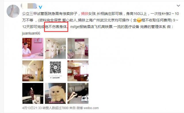 女大学生捐卵20颗,女孩捐卵20颗死亡