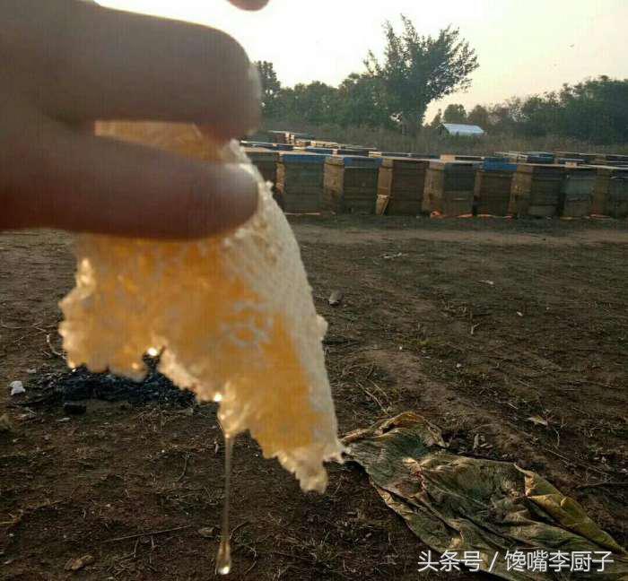 纯正蜂王浆功效作用是什么,蜂王浆的营养价值好怎么保存