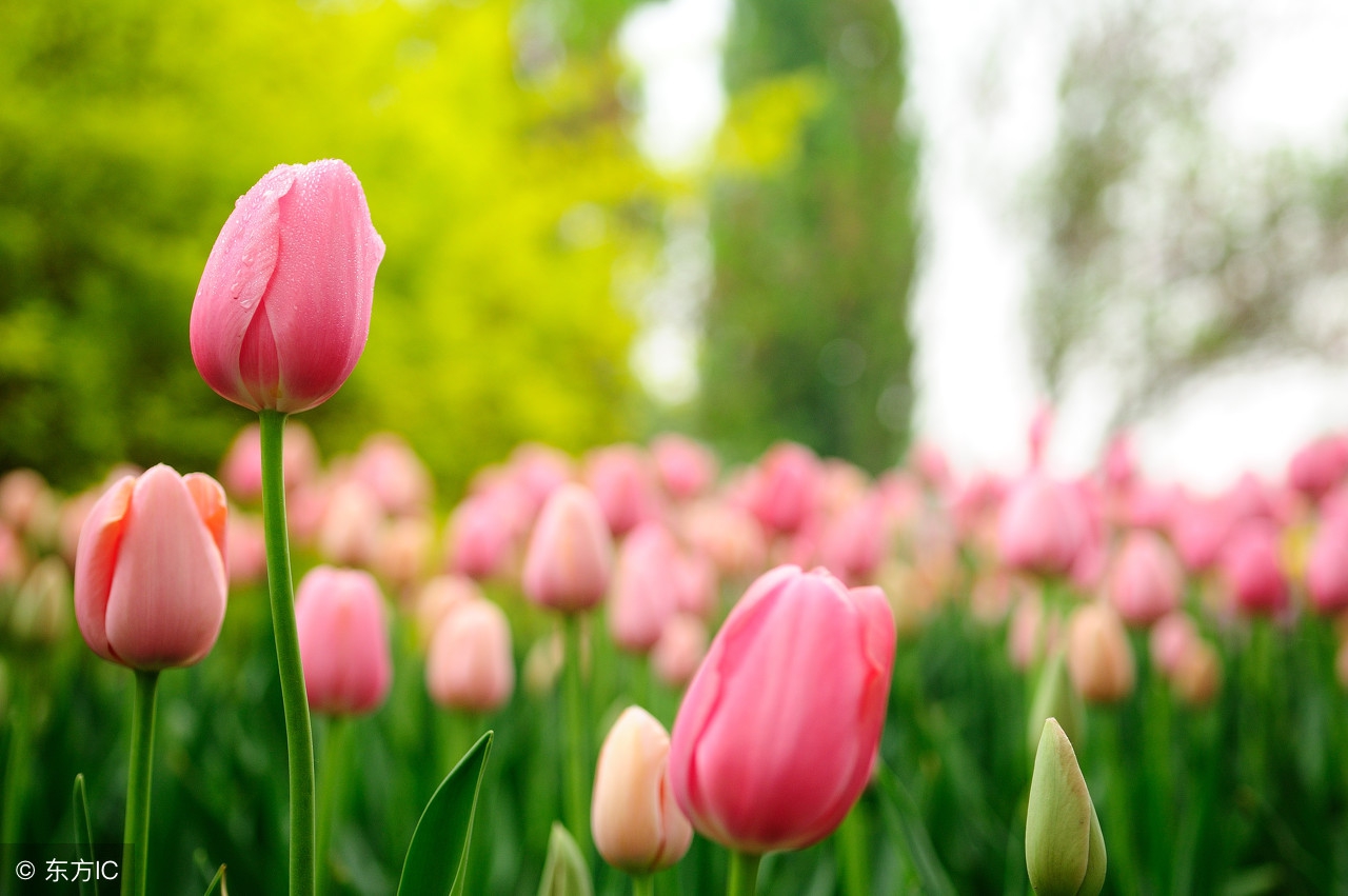 生活语录相册,生活感悟相册